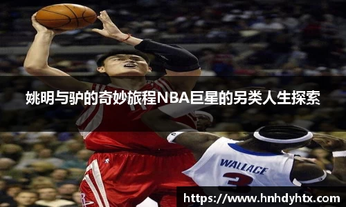 XK星空官网
